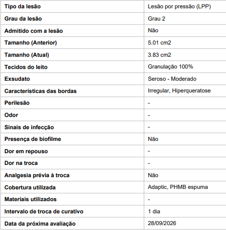 Ficha estruturada de avaliação de lesão por pressão no GEMS: grau, tamanho anterior e atual, tecidos do leito, exsudato, bordas, cobertura e data da próxima avaliação